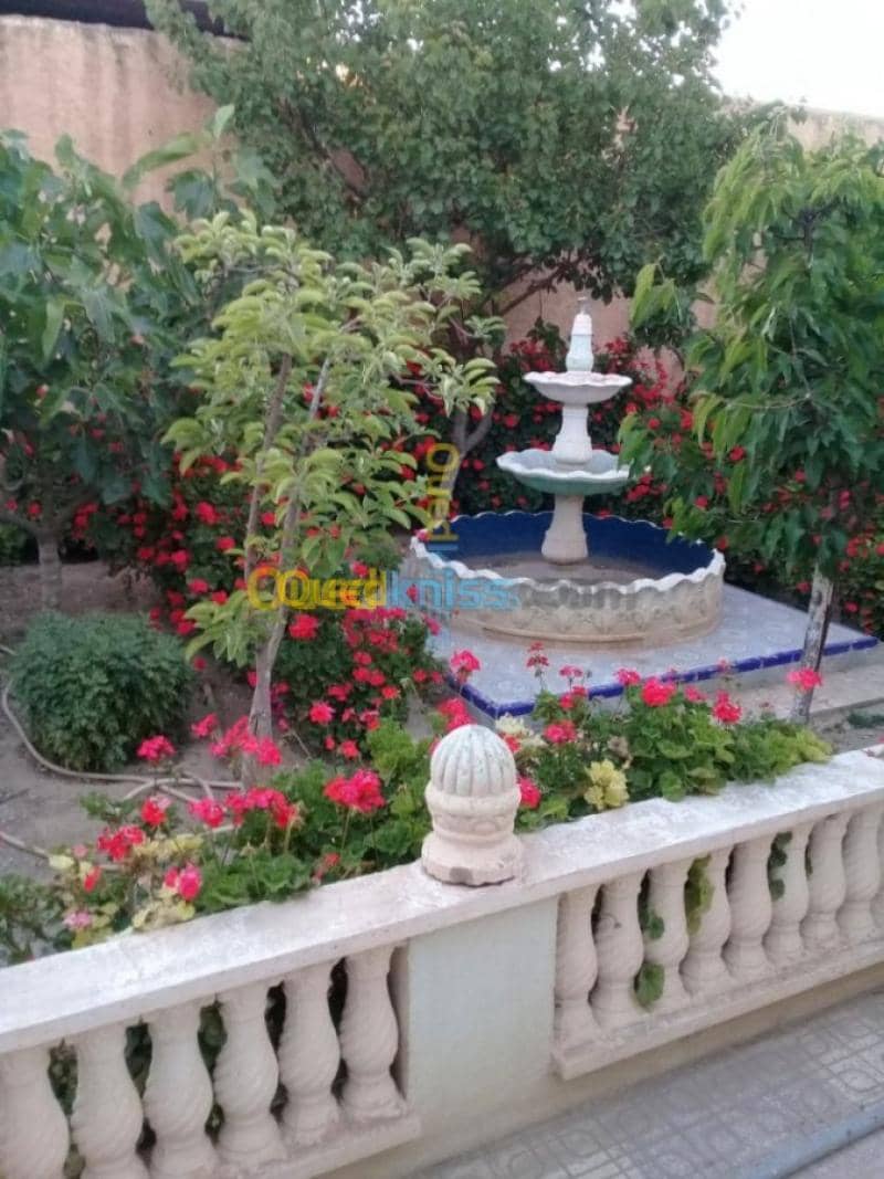 Vente Villa Tiaret Ain deheb 19