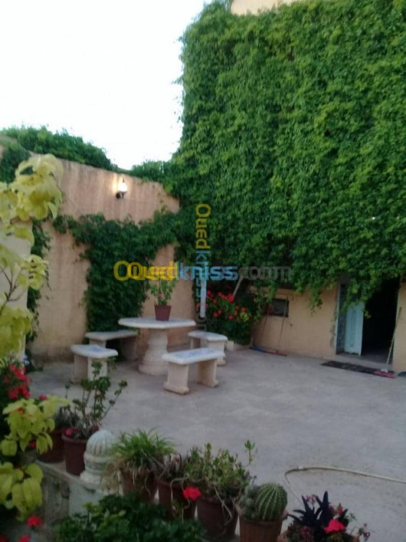 Vente Villa Tiaret Ain deheb 20