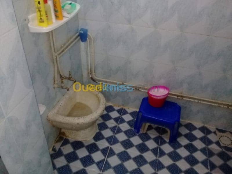 Vente Villa Tiaret Ain deheb 41