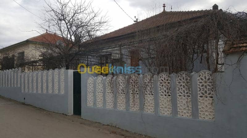 Vente Villa Medea Medea