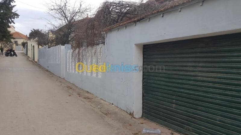 Vente Villa Medea Medea 4