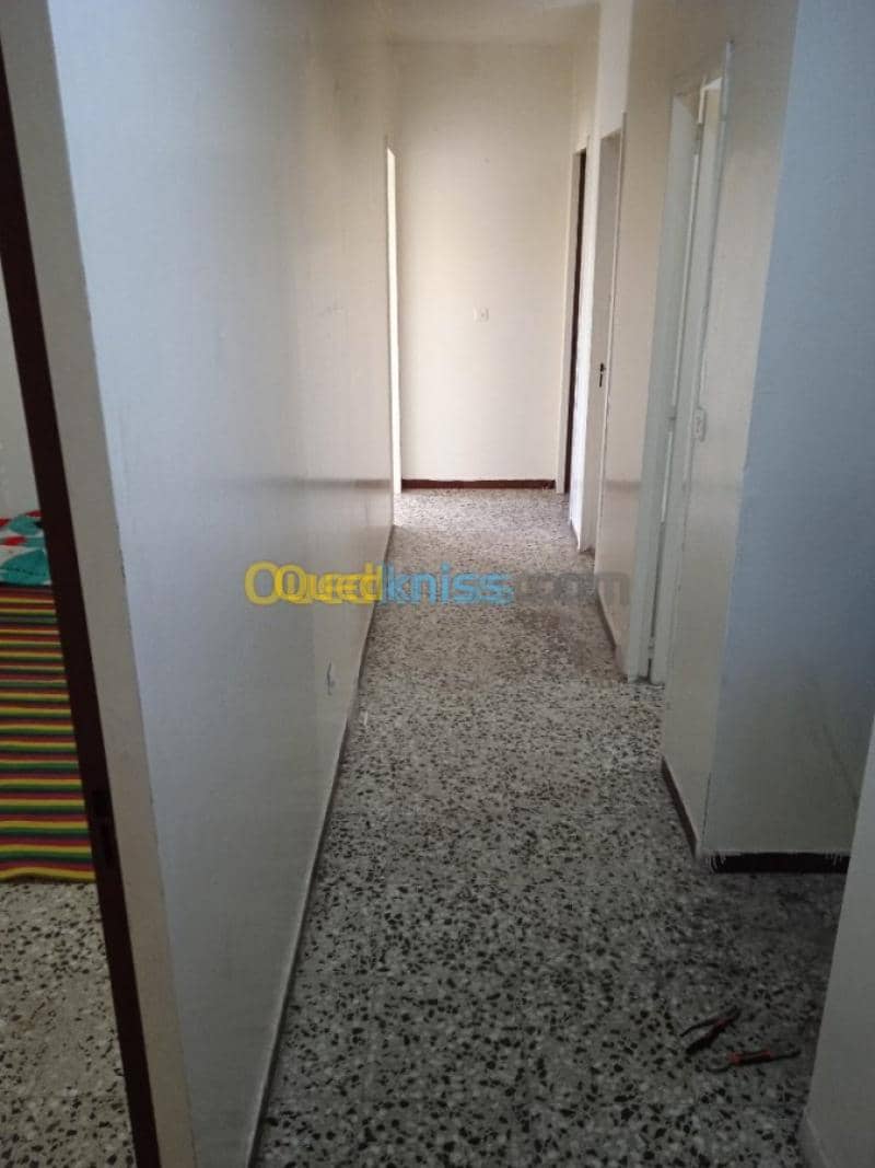 Vente Appartement F3 Djelfa Djelfa 19