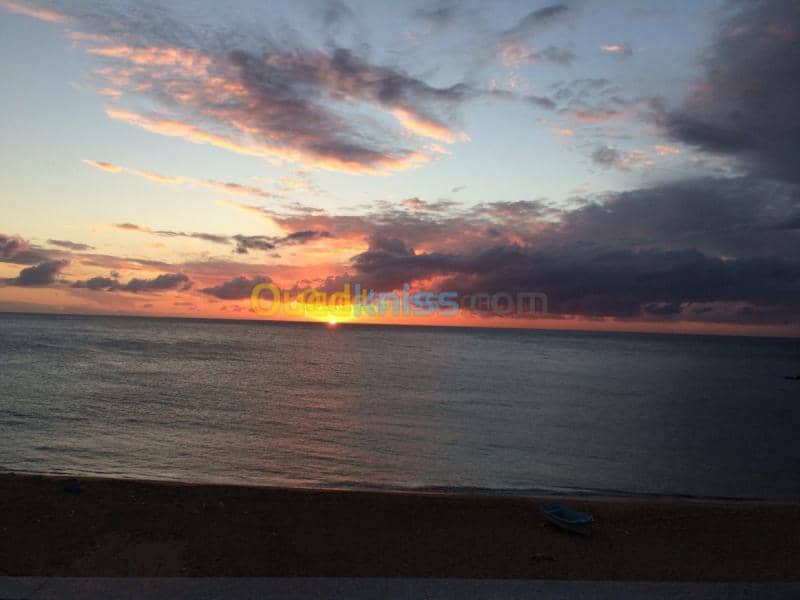 Location vacances Appartement F3 Aïn Témouchent Ain temouchent 12