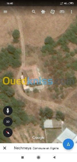 Vente Terrain Agricole Guelma Nechmaya 11