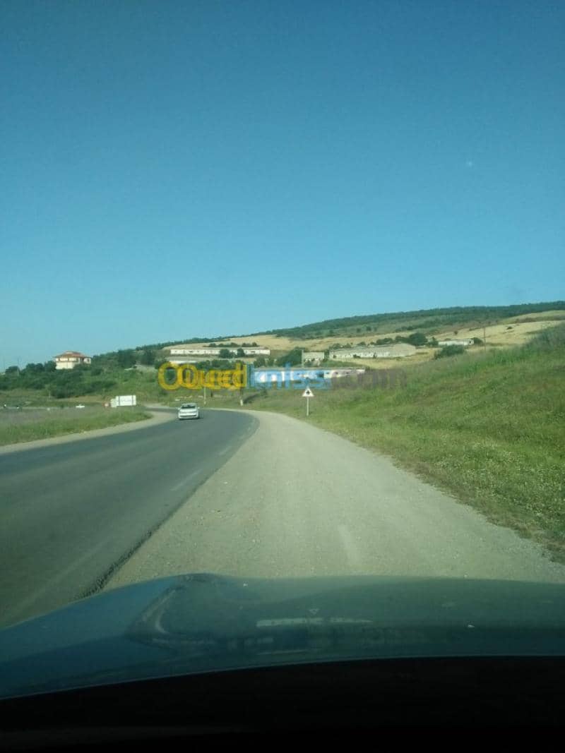 Vente Terrain Agricole Guelma Nechmaya 13