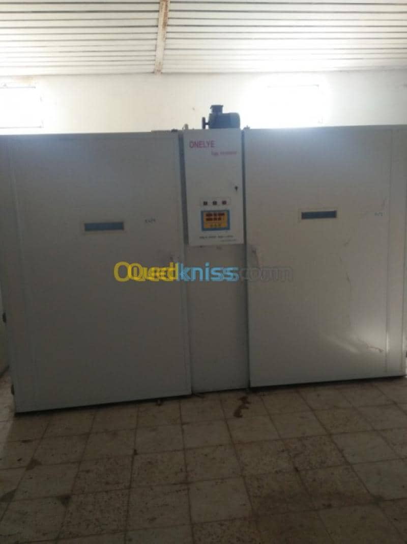 Vente Terrain Agricole Guelma Nechmaya 14