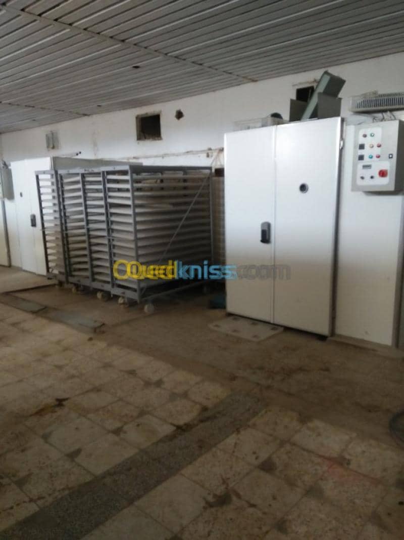 Vente Terrain Agricole Guelma Nechmaya 18