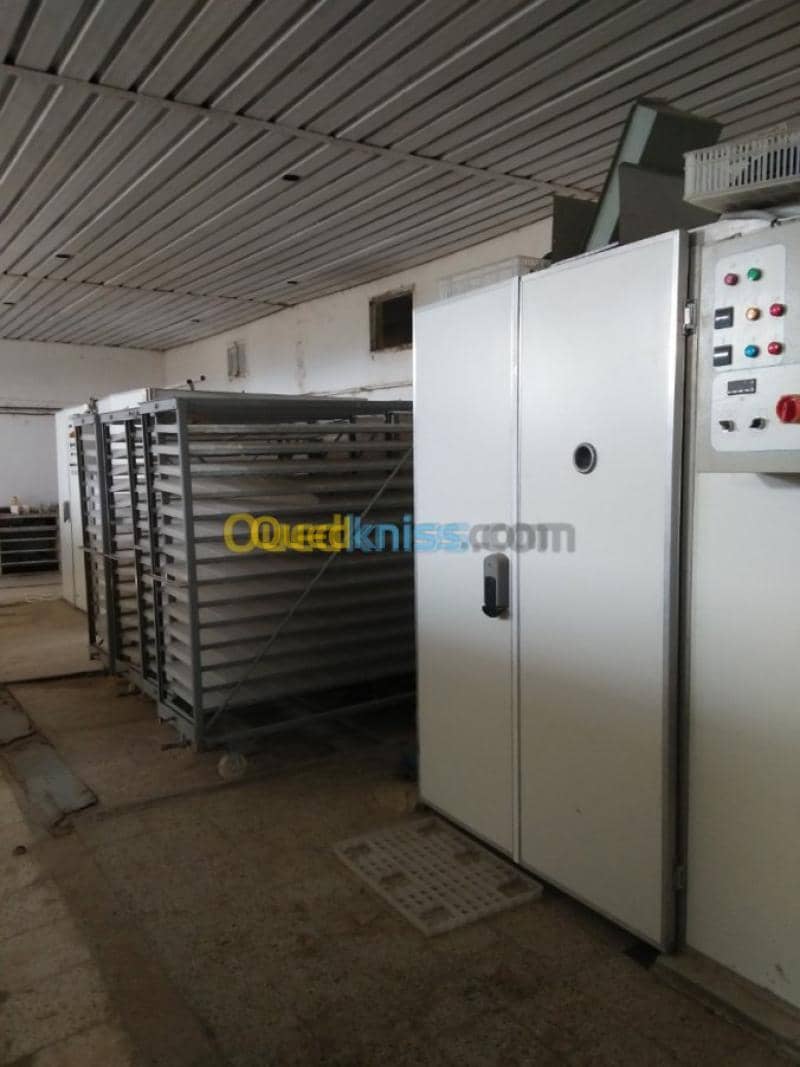 Vente Terrain Agricole Guelma Nechmaya 19