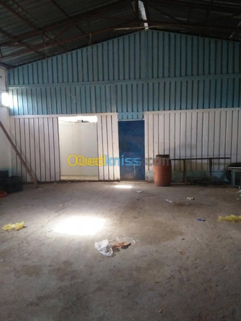 Vente Terrain Agricole Guelma Nechmaya 21