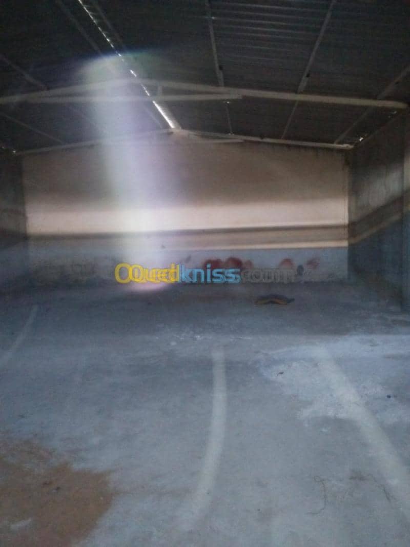 Vente Terrain Agricole Guelma Nechmaya 22