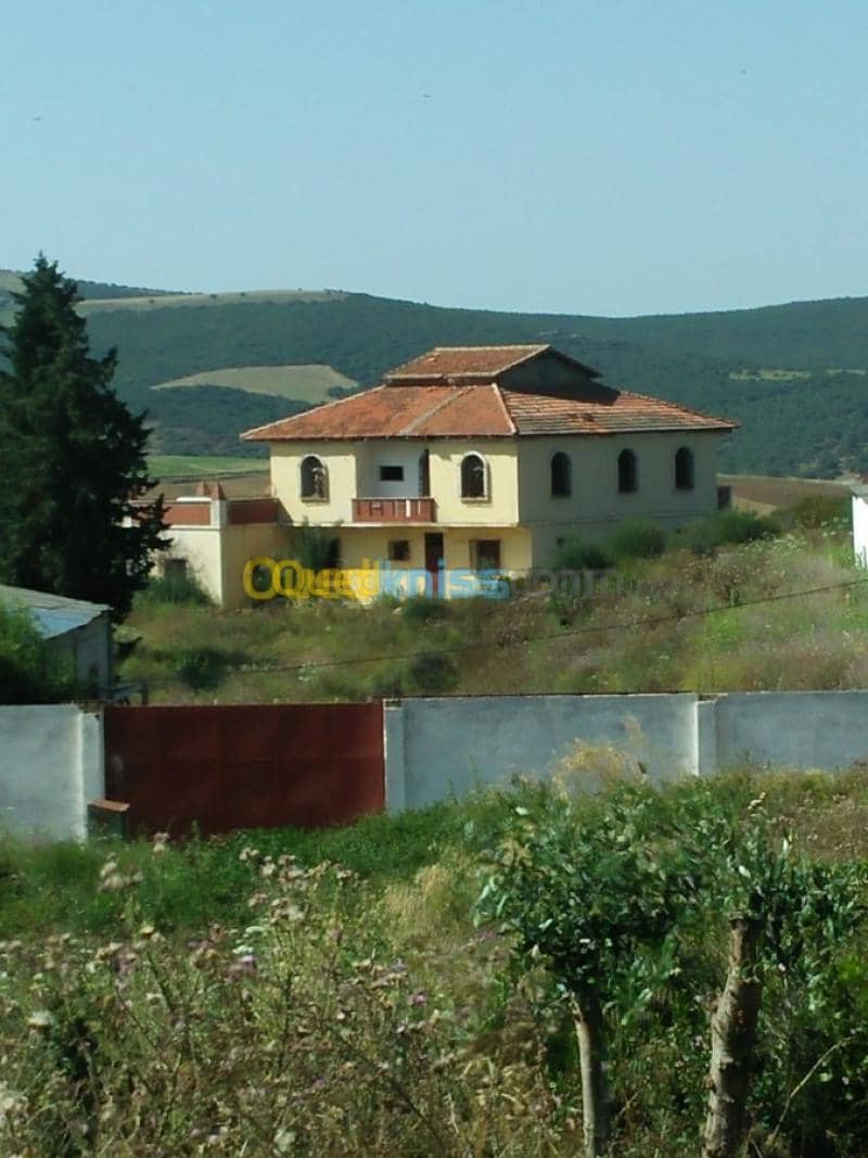 Vente Terrain Agricole Guelma Nechmaya 31