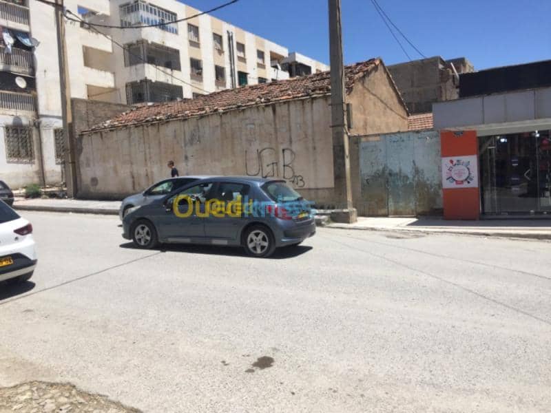 Vente Terrain Oum el bouaghi Oum el bouaghi 2