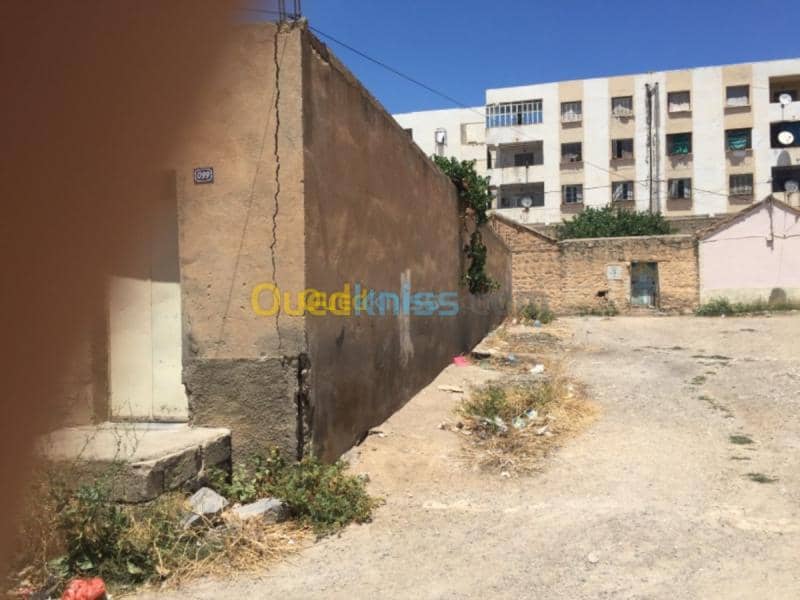 Vente Terrain Oum el bouaghi Oum el bouaghi 5