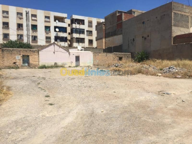 Vente Terrain Oum el bouaghi Oum el bouaghi 6