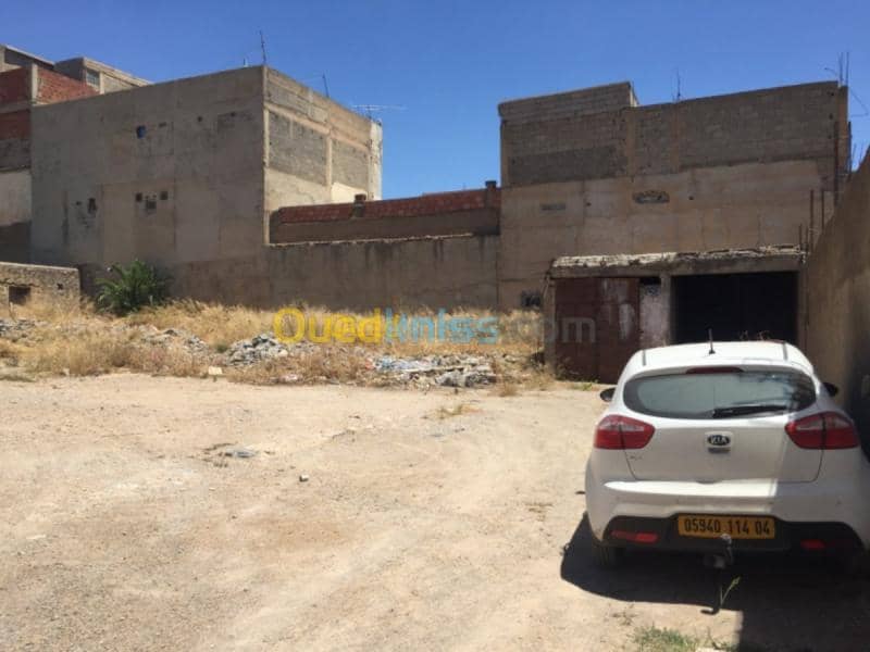 Vente Terrain Oum el bouaghi Oum el bouaghi 7