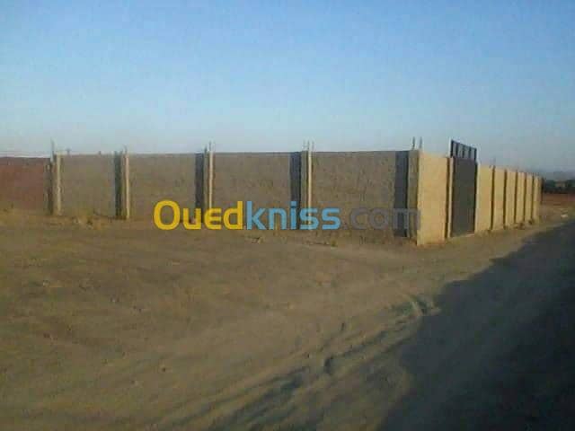 Vente Terrain Ain defla Arib