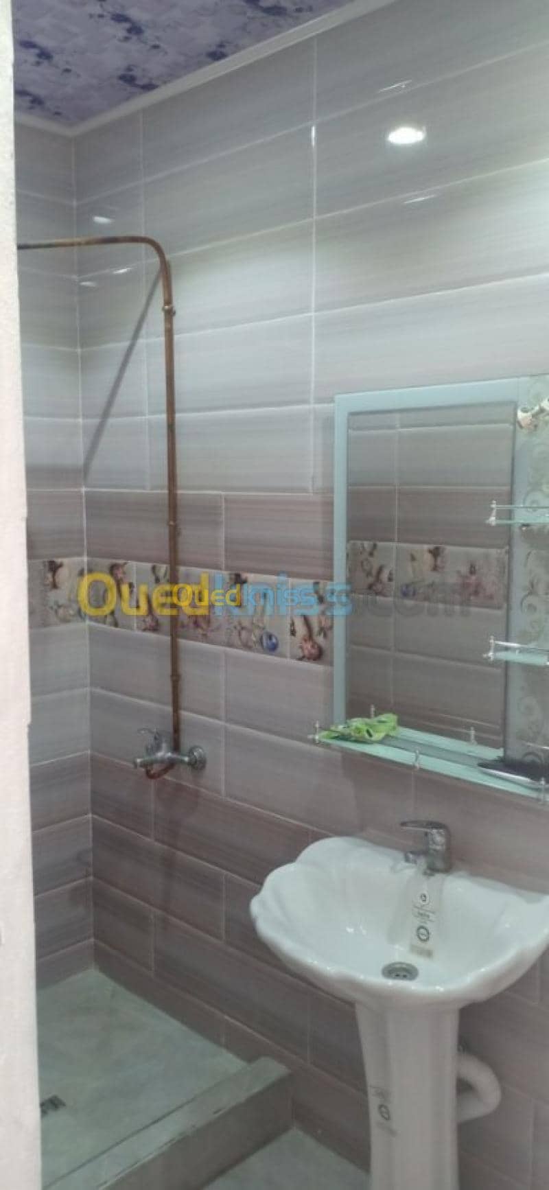Location Appartement F3 Constantine Hamma bouziane 4