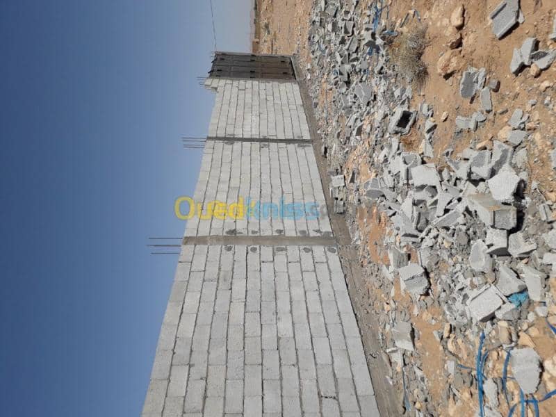 Vente Terrain Laghouat Mekhareg 4