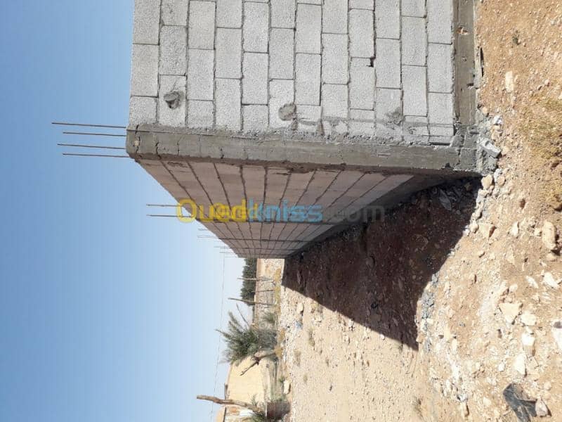 Vente Terrain Laghouat Mekhareg 5