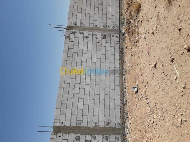 Vente Terrain Laghouat Mekhareg 6