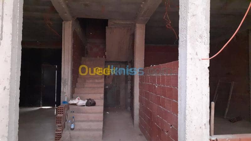 Vente Carcasse Saida Ain el hadjar 2