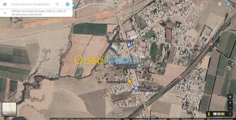 Vente Terrain Ain defla Khemis miliana 4