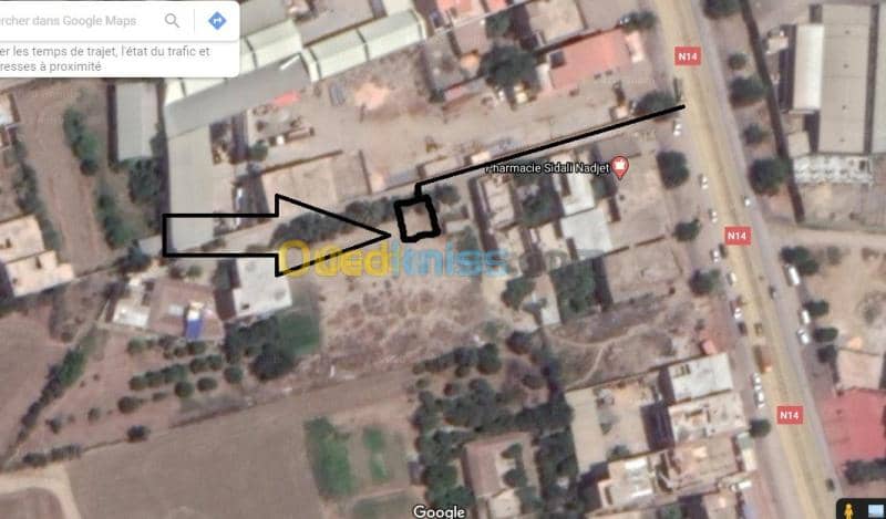 Vente Terrain Ain defla Khemis miliana 6