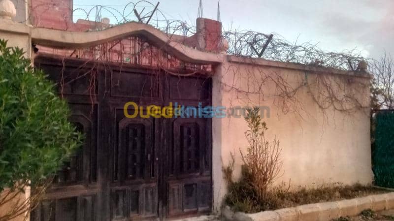 Vente Carcasse Souk ahras Sedrata