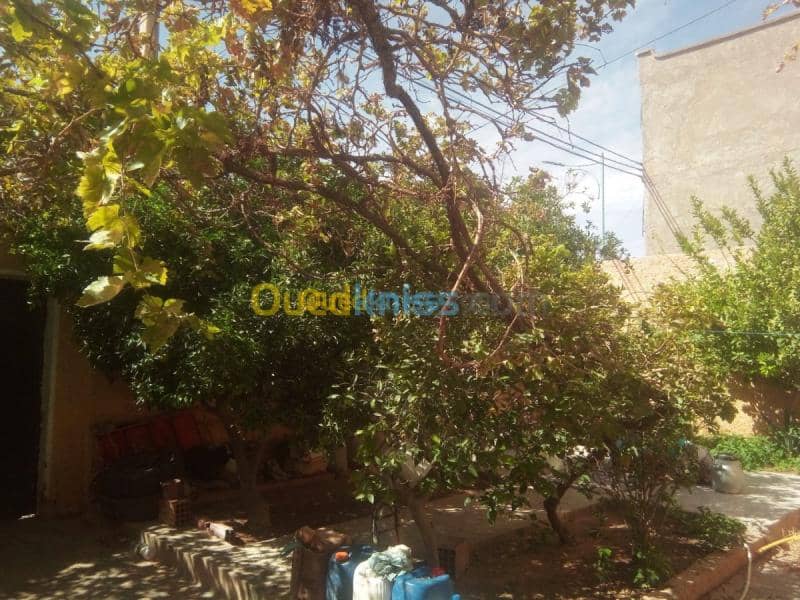 Vente Appartement F3 Ghardaia El menia 2