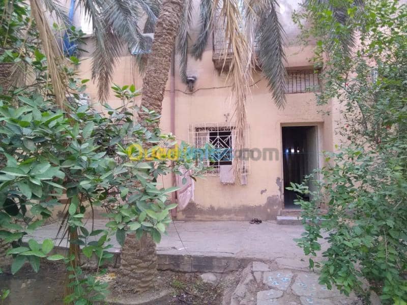 Vente Terrain Biskra Biskra 10