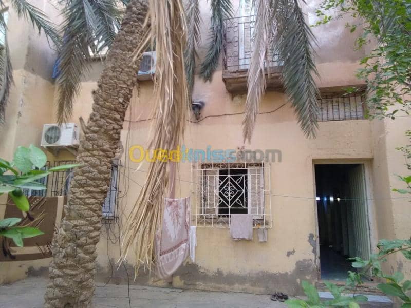 Vente Terrain Biskra Biskra 11