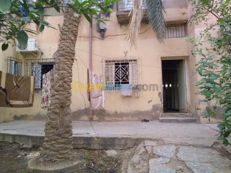 Vente Terrain Biskra Biskra 12