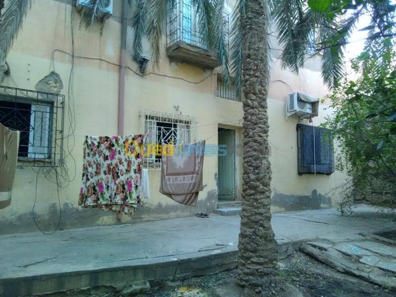 Vente Terrain Biskra Biskra 13