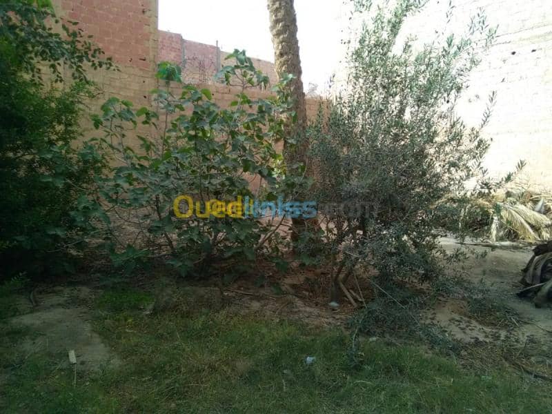 Vente Terrain Biskra Biskra 16