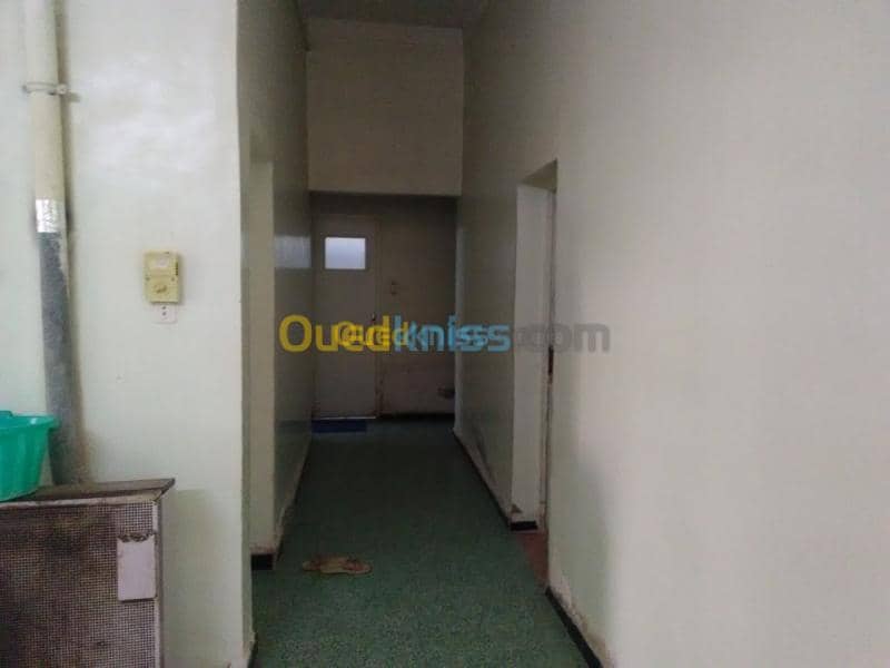 Vente Terrain Biskra Biskra 5
