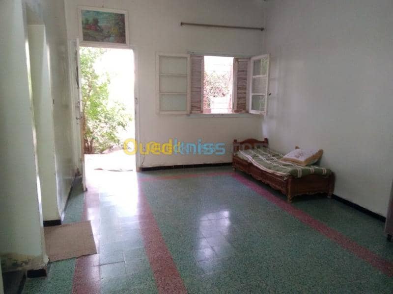 Vente Terrain Biskra Biskra 6