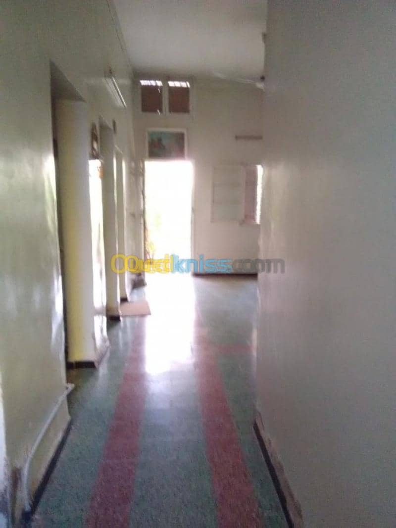 Vente Terrain Biskra Biskra 7