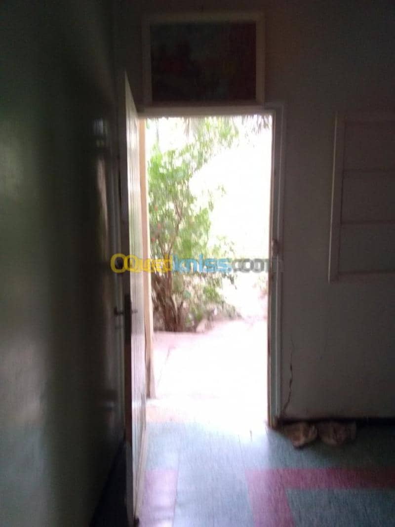 Vente Terrain Biskra Biskra 8