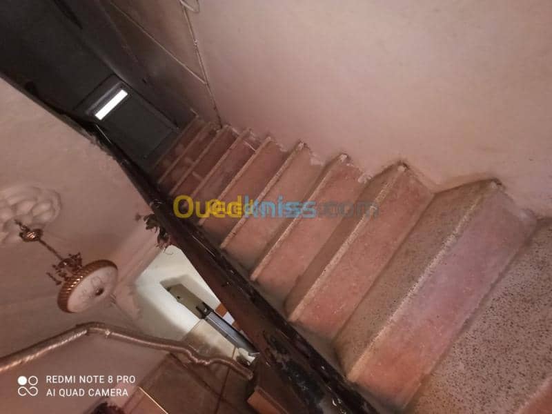 Location Niveau De Villa Sidi bel abbes Sidi bel abbes 6