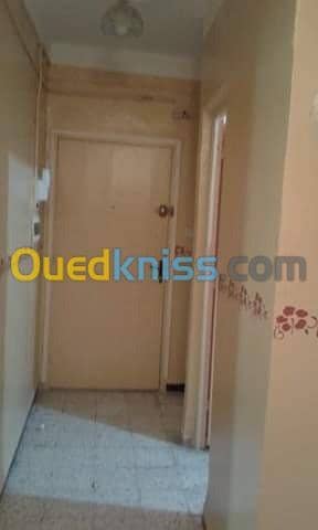 Cherche achat Appartement F3 Oum el bouaghi Ain beida