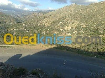 Vente Terrain Mila Minar zarza