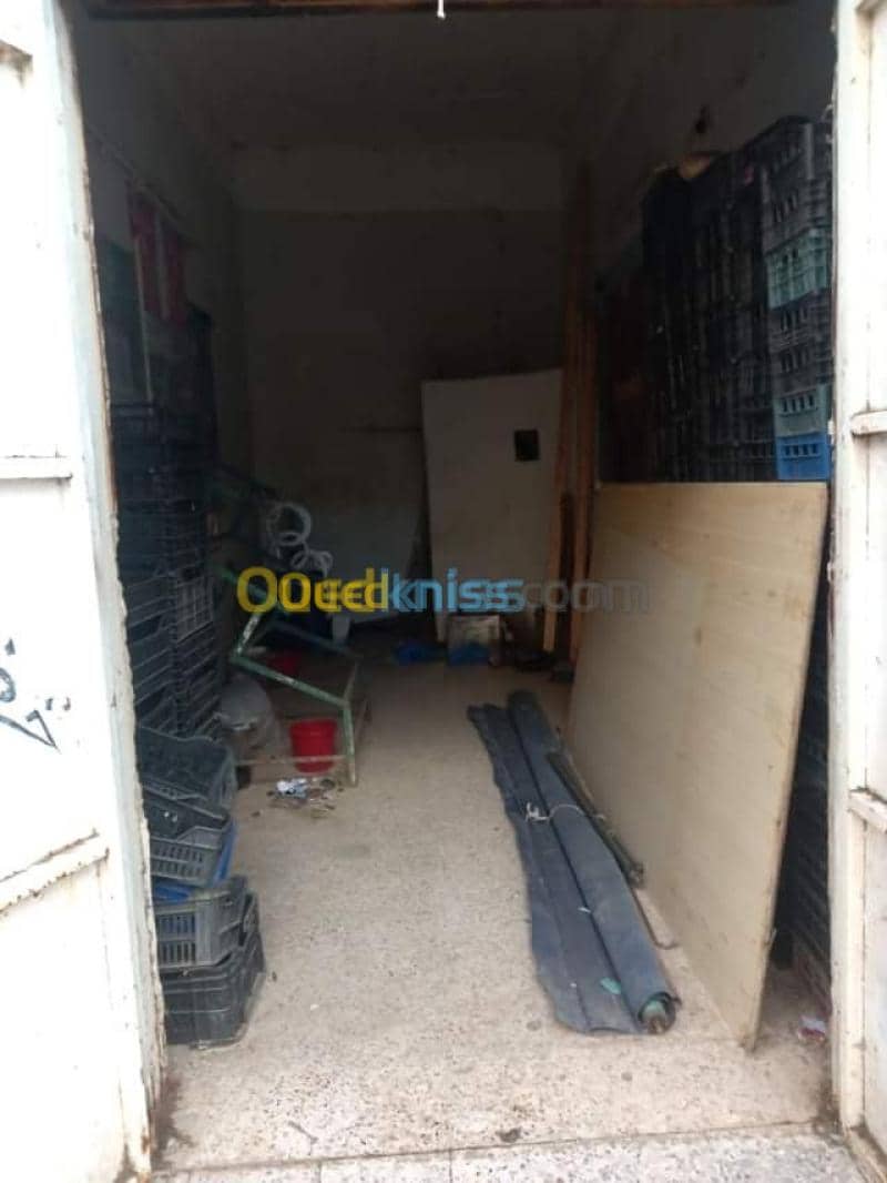 Vente Local Skikda Azzaba 11
