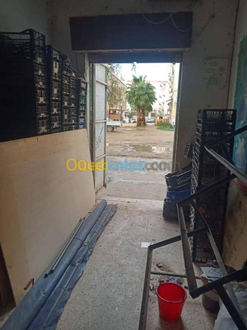 Vente Local Skikda Azzaba 2