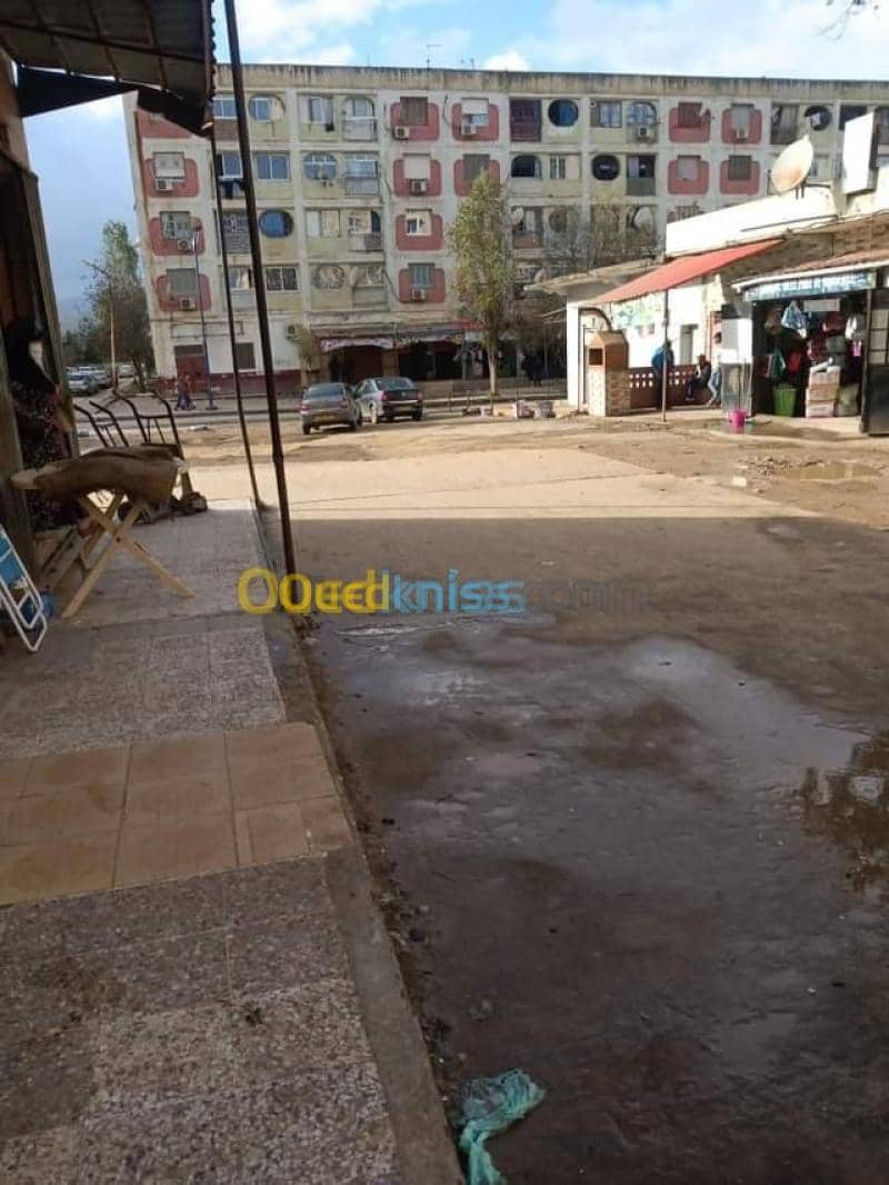 Vente Local Skikda Azzaba 4