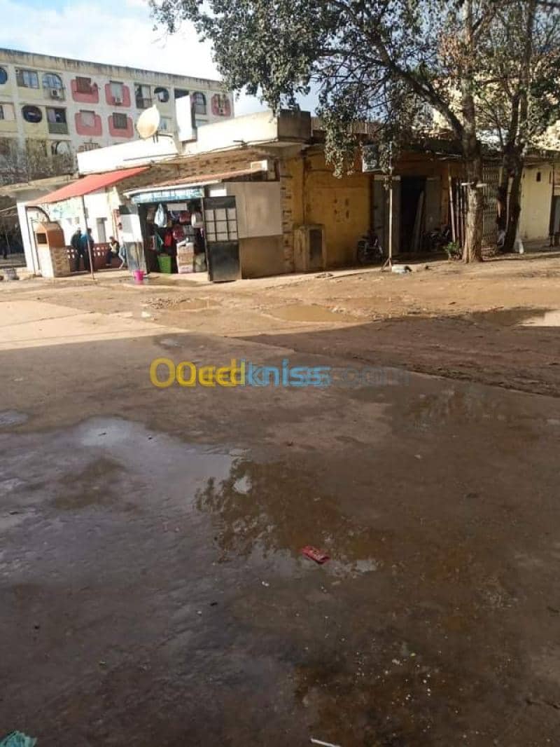 Vente Local Skikda Azzaba 5