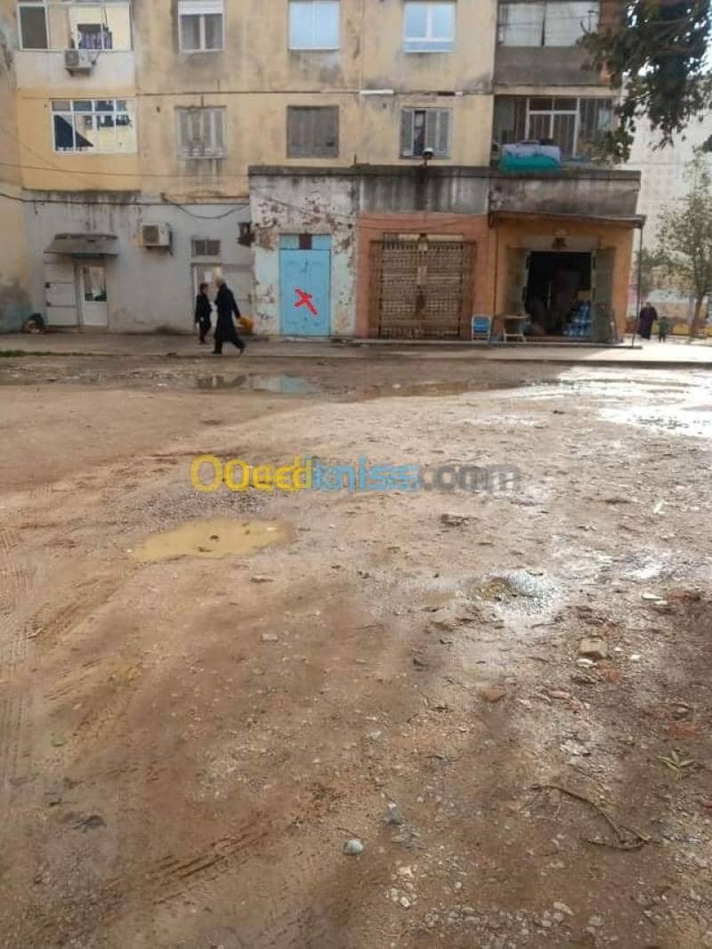 Vente Local Skikda Azzaba 7