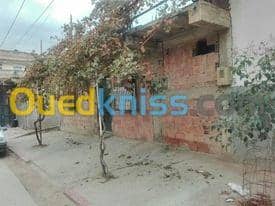 Vente bien immobilier Ain defla Sidi lakhdar 2