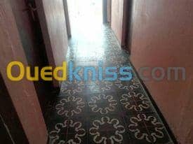 Vente bien immobilier Ain defla Sidi lakhdar 4