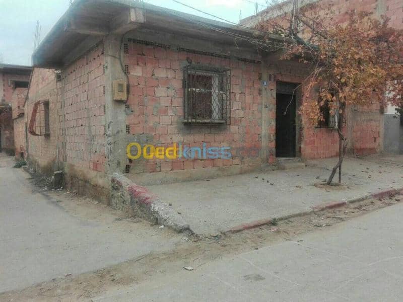 Vente bien immobilier Ain defla Sidi lakhdar 7