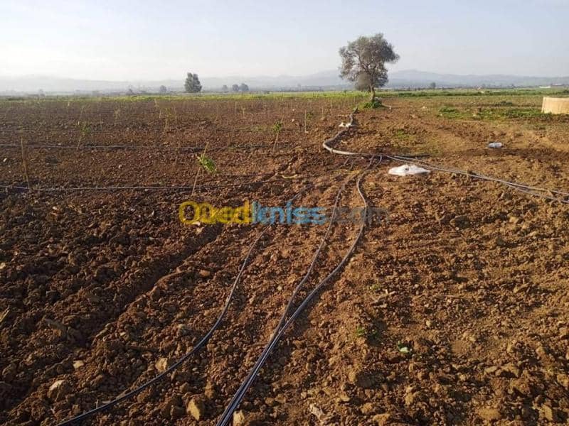 Cherche achat Terrain Annaba Eulma 2
